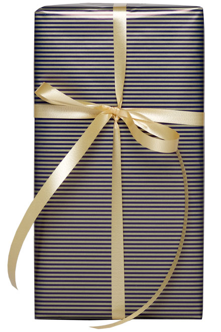 Økonom Blå Til Forsendelse - produktbillede