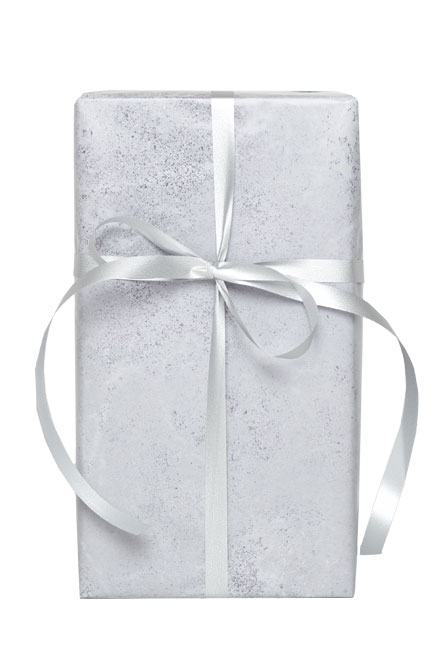 Økonom Til Forsendelse - produktbillede