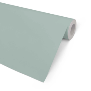 Økonom Grøn Til Forsendelse - produktbillede