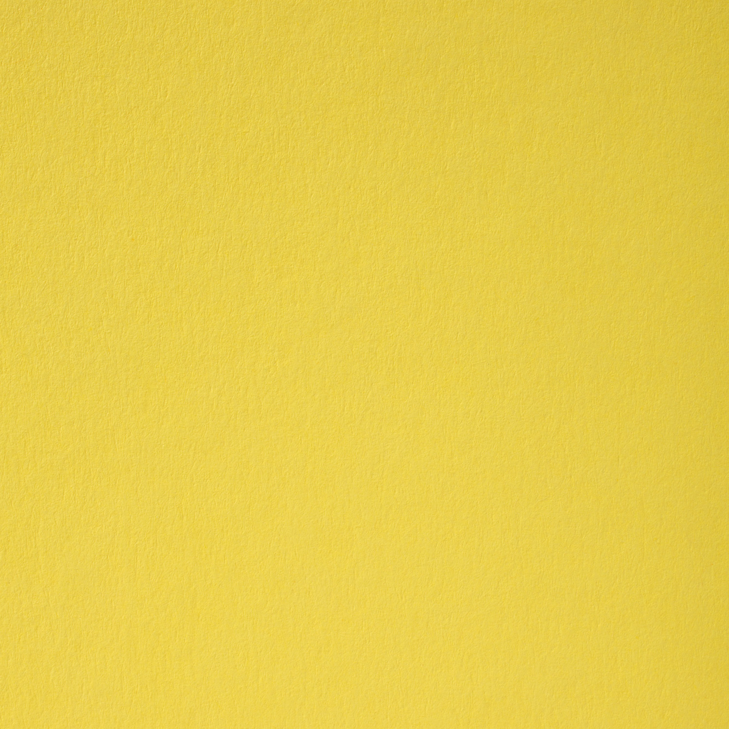 A Gul Til Forsendelse - produktbillede