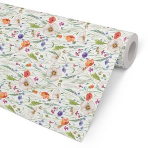 Økonom Til Forsendelse - produktbillede