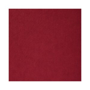 Karton A4 – solbærrød – 180 g – 10 ark